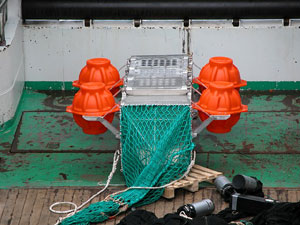 Cod-End Aquarium  Census of Marine Life